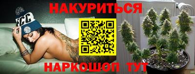 сатива Краснодар