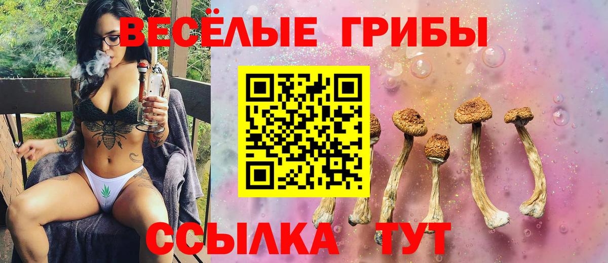 Галлюциногенные грибы GOLDEN TEACHER Кировск