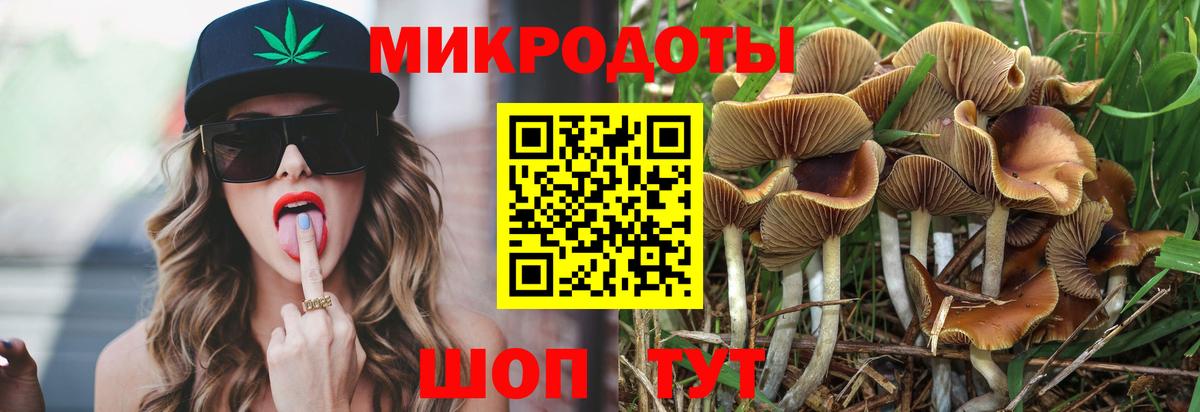 Кировск  Псилоцибиновые грибы прущие грибы  Галлюциногенные грибы Cubensis  Вход с VPN 